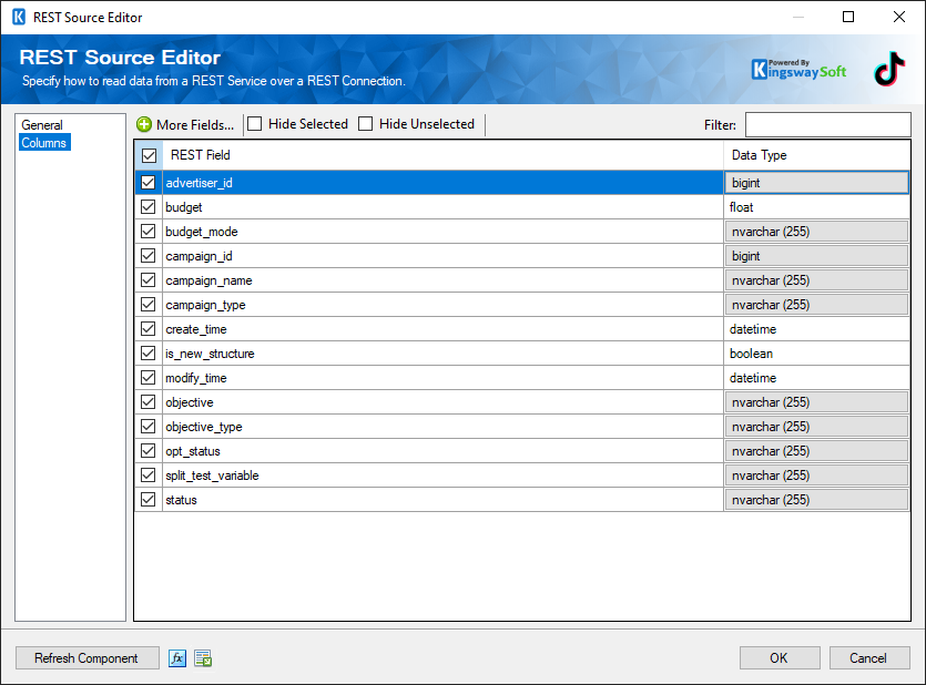 SSIS Tiktok Business Source component - Columns